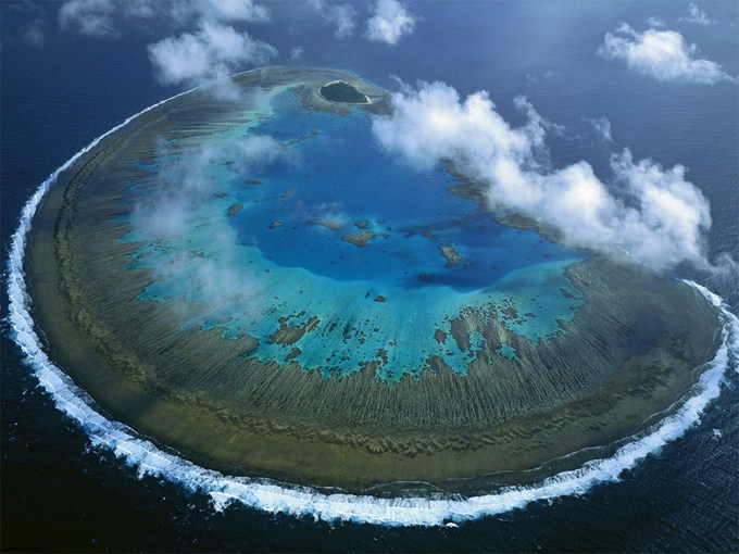 世界各地的景观和风景_lady-musgrave-island-coral(1).jpg