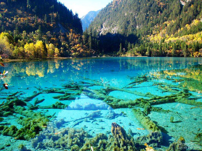 世界各地的景观和风景_Crystalline Turquoise Lake, Jiuzhaigou National Park, China (1).jpg