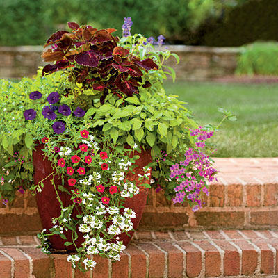 container-garden-2-l.jpg