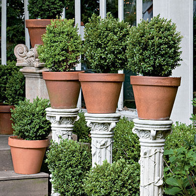 container-garden-6-l.jpg