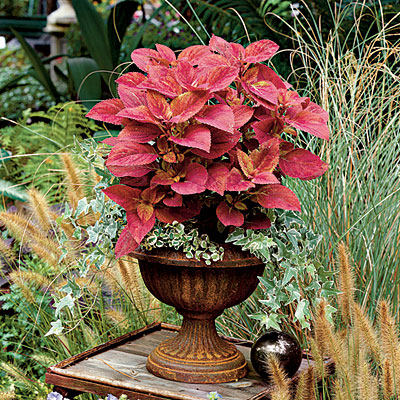 container-garden-urn-l.jpg