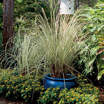 grass-container-l.jpg