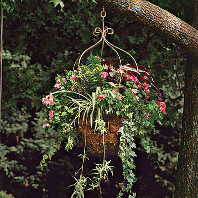 hanging-pot-tree-l.jpg