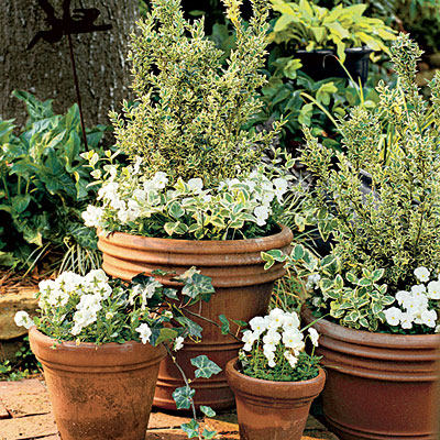 white-container-garden-l.jpg