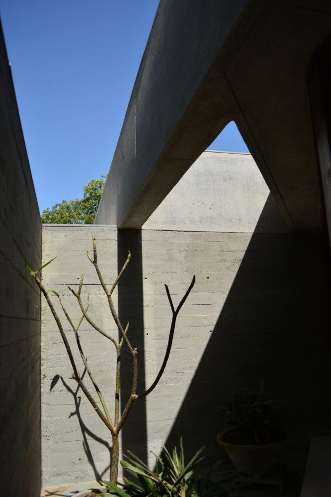 印度艾哈迈达巴德--Gorgeous Single Floor House With Concrete Finishes_Concrete-And-Tree.jpg