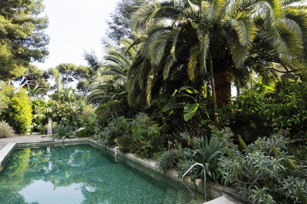 Pool-landscape-pebbles-with-greenery.jpg