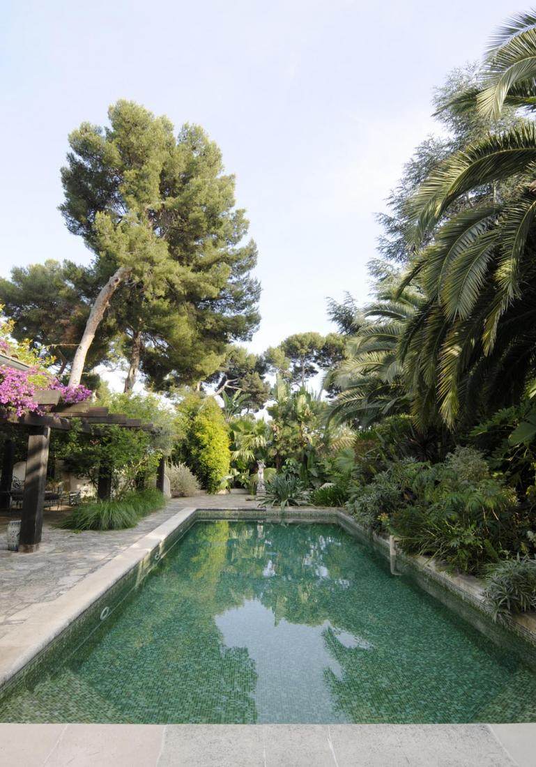 Pool-portrait-surrounded-by-greenery.jpg