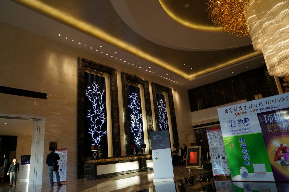 唐山万达洲际酒店InterContinental Tangshan_DSC04947_调整大小_调整大小.JPG