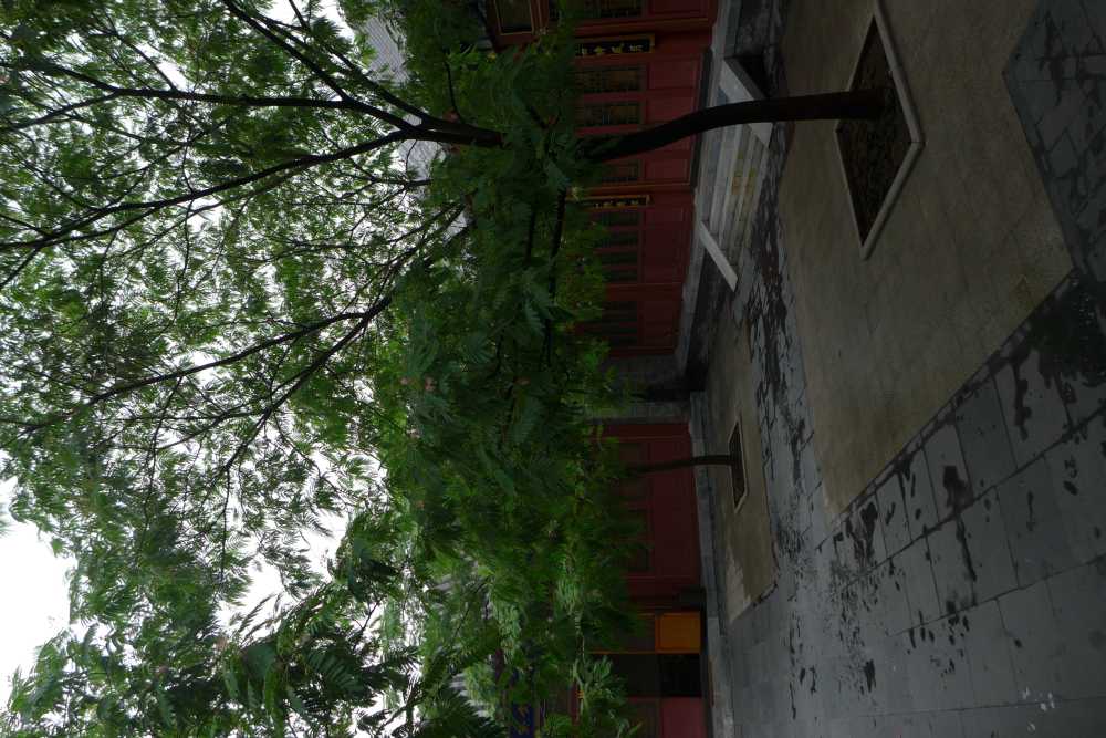 北京颐和园安缦酒店Aman at Summer Palace（2013.06.31更新）_L1010031.JPG