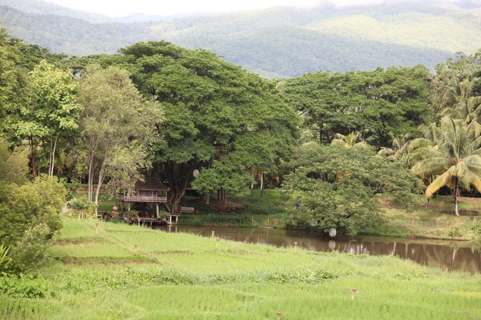 泰国清迈四季酒店Four Seasons Chiang Mai 实景照片588张_IMG_5714.JPG