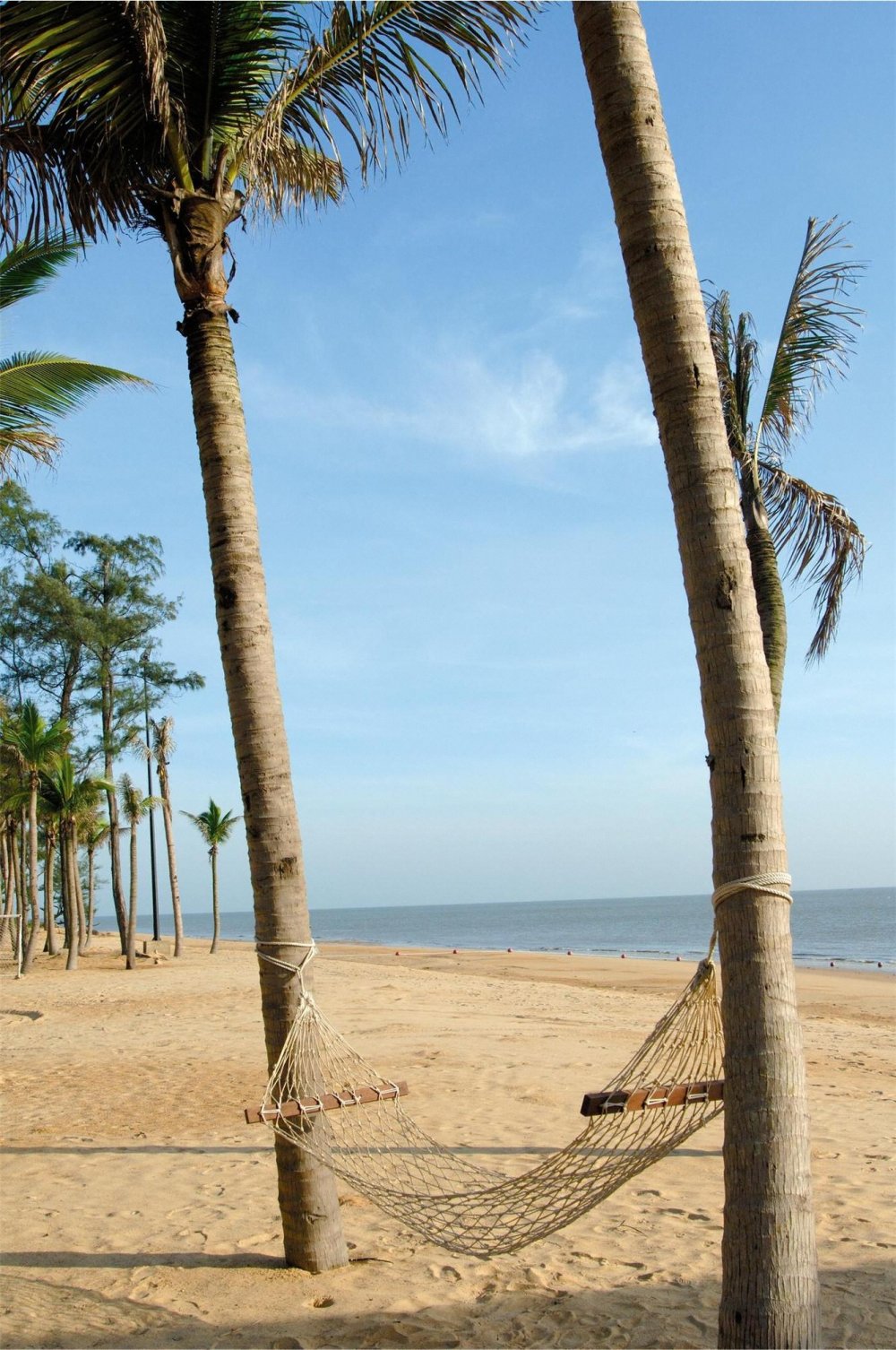 海口喜来登温泉度假酒店 Sheraton Haikou Resort_35850_large.jpg