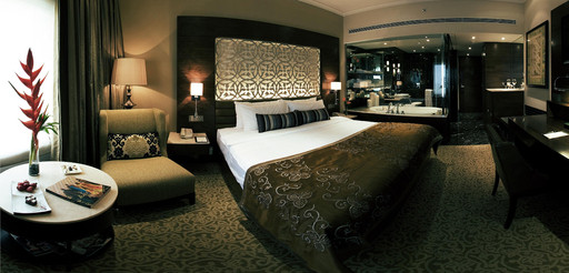 新德里泰姬宫酒店 Taj-Palace-Hotel--New-Delhi_Low_H0D8B_27641027_H0D8BL0F.jpg
