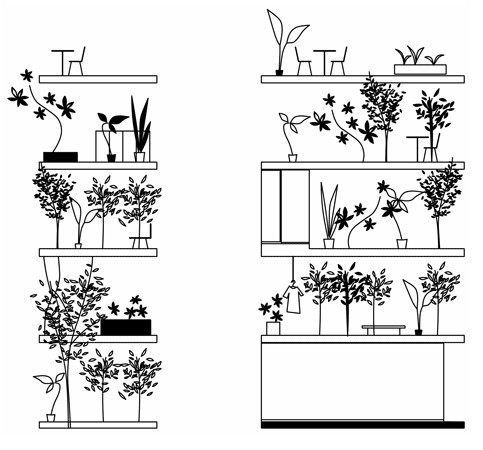 日本：Garden and House by Ryue Nishizawa_7.jpg