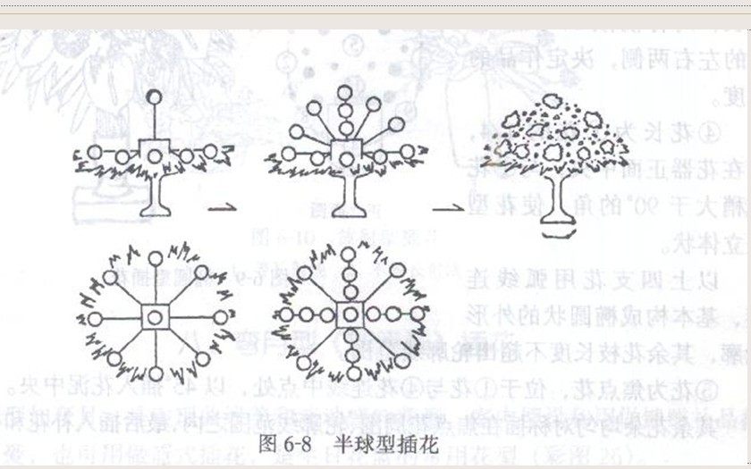 给员工培训用 西方花艺技艺 自制ppt_QQ图片20130717113855.jpg