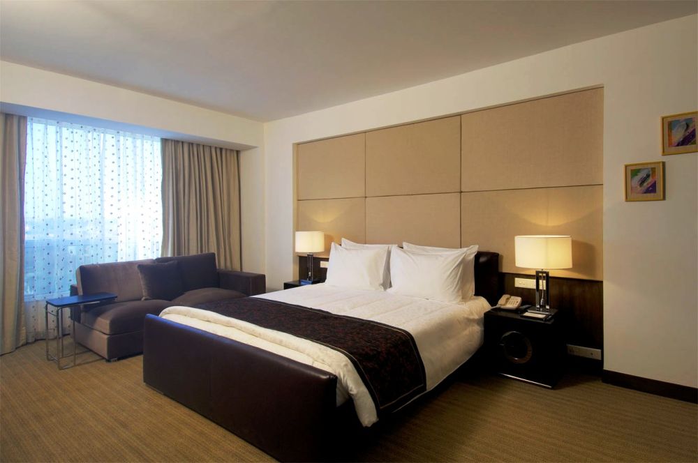 印度普纳雷迪森酒店 Radisson Hotel Pune Kharadi_31033851-H1-Suite with Runner.jpg