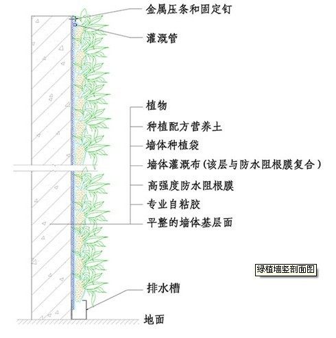 让春色满屋的办公区室内绿植_QQ图片20130801105905.jpg