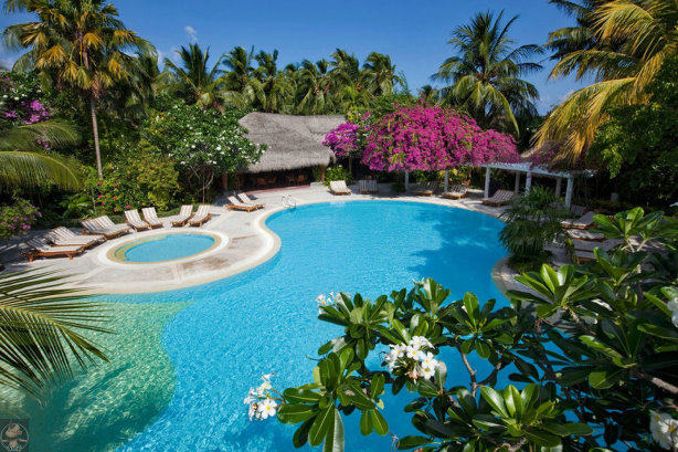 马尔代夫库拉马提是一处美丽的人间天堂，在那里您会被美丽的自然景色所陶醉而乐而忘返。度假村的园区内种满 ...