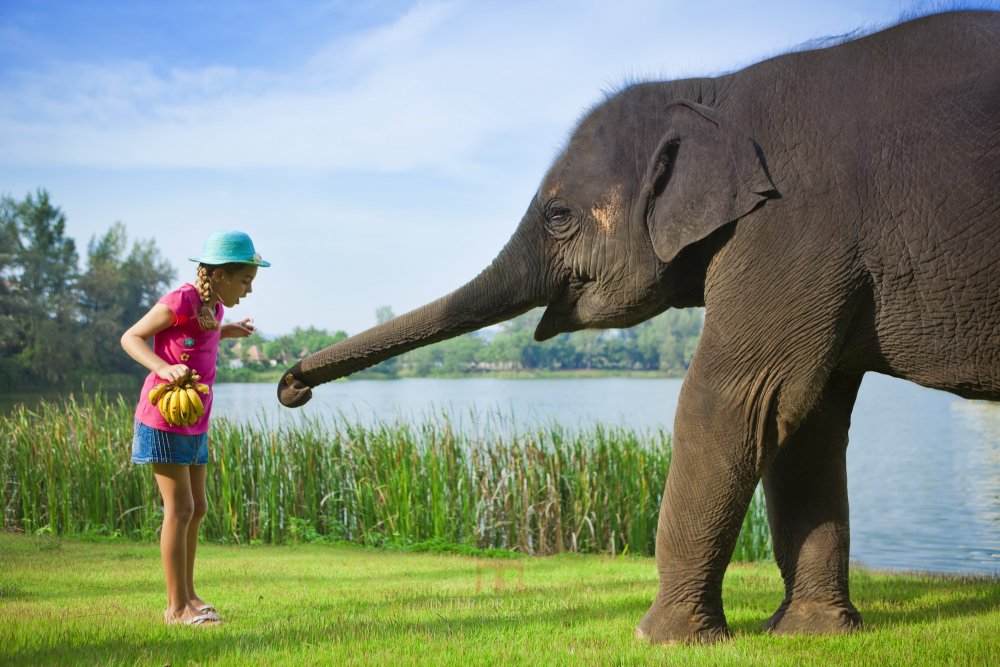 普吉岛乐古浪悦椿度假村 Angsana Laguna Phuket_46622710-H1-ANTHLG_FH_0312_Lucky_4811.jpg