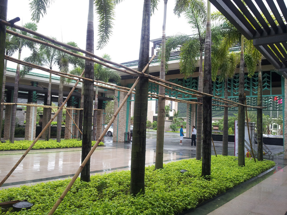 20130802_155833.jpg