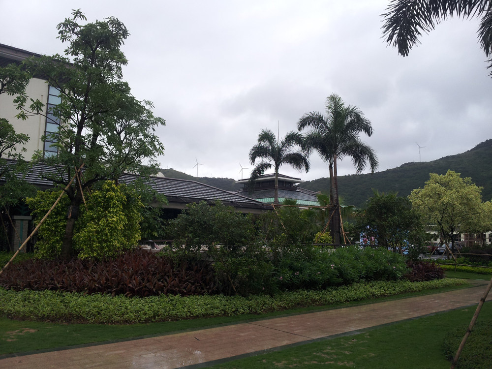 20130802_160431.jpg