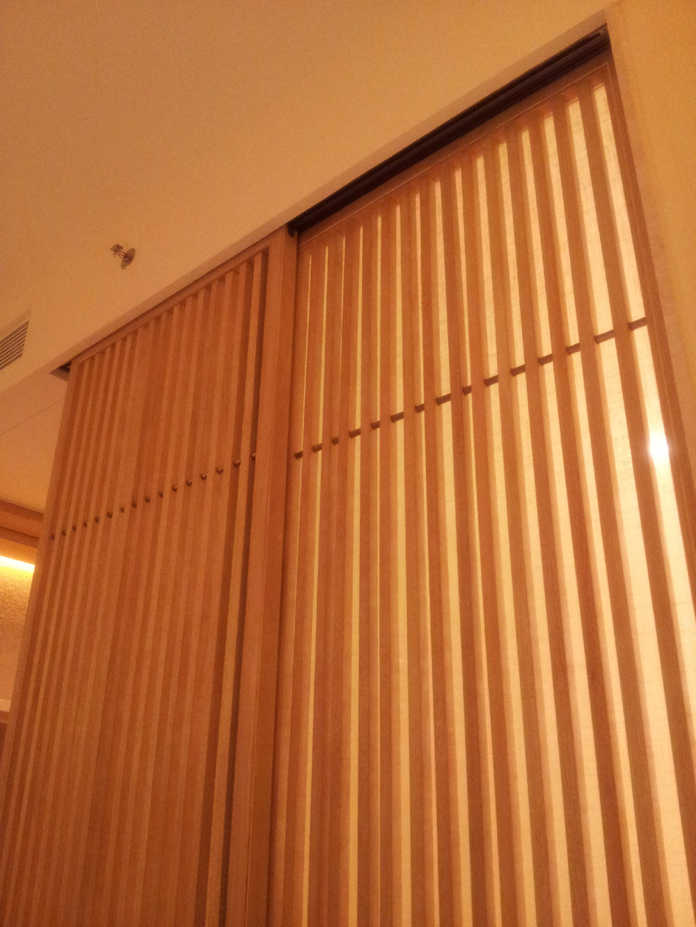 20130802_222852.jpg