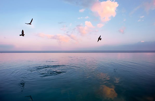 巴厘岛度假酒店_infinity pool at sunset.jpg