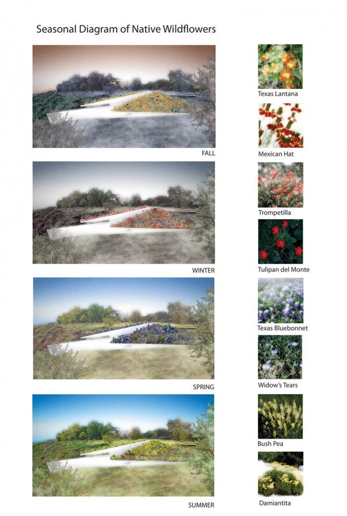 floral-roof-green-insulation-700x1041.jpeg