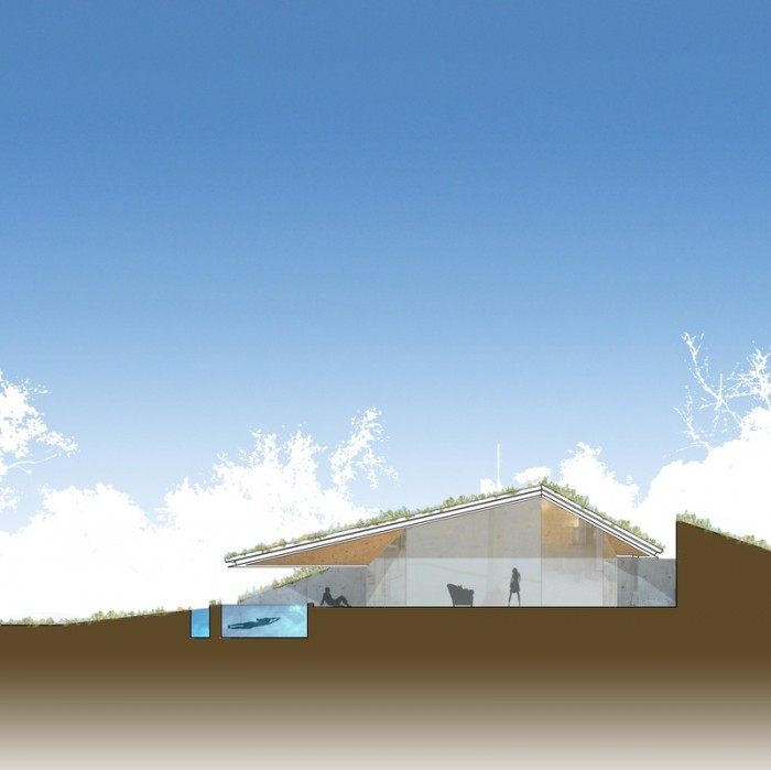 floral-roof-sunken-pit-house-pool-700x699.jpeg