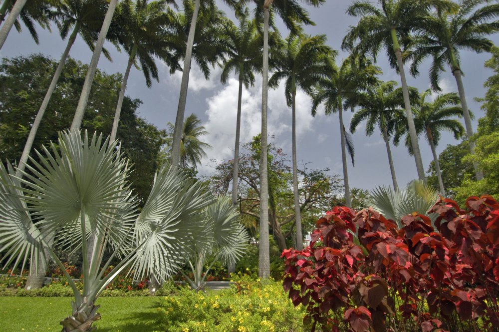 巴巴多斯费尔蒙皇家行宫酒店 The Fairmont Royal Pavilion Barbados_24493569-H1-RPV-V-277.jpg