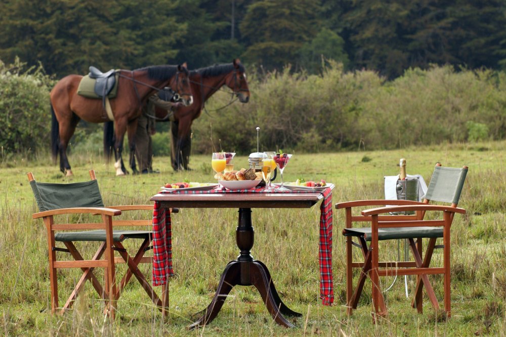 费尔蒙肯尼亚山狩猎度假村 Fairmont Mount Kenya Safari Club_24429875-H1-KEN-V-083.jpg