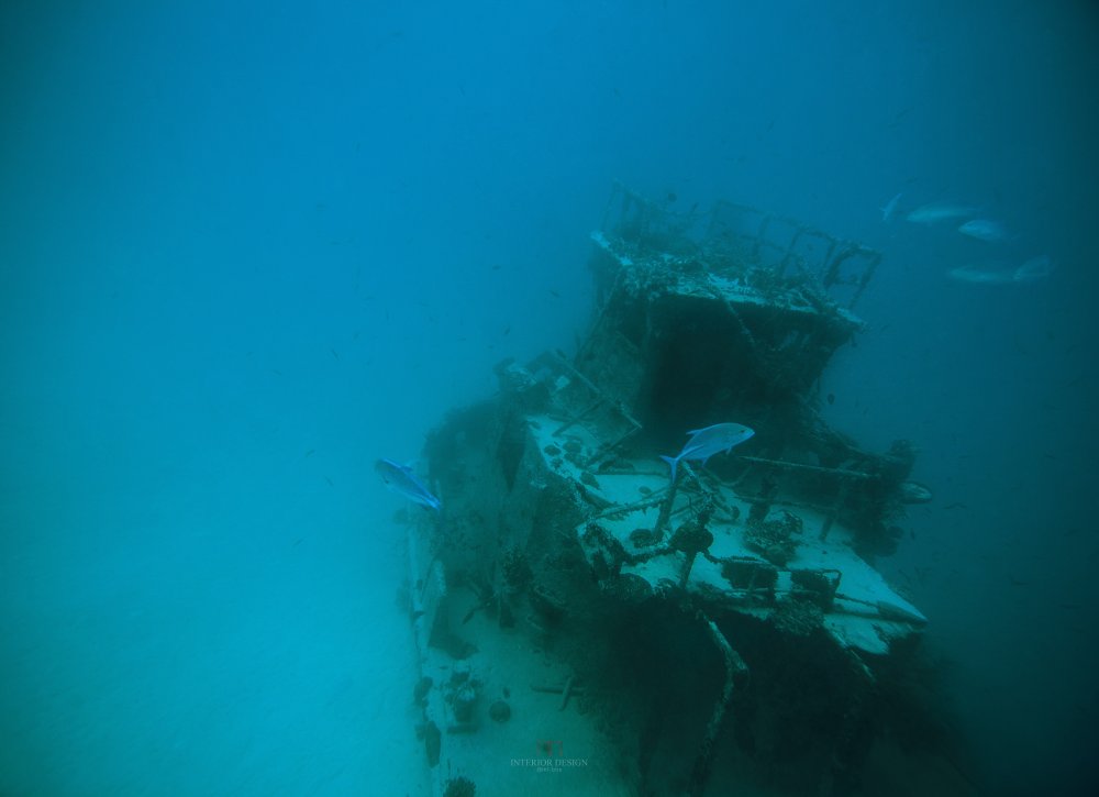 马尔代夫泰姬维安塔酒店 Vivanta by Taj Coral Reef Mal..._54656474-H1-Dive_a_Shipwreck_IV.jpg