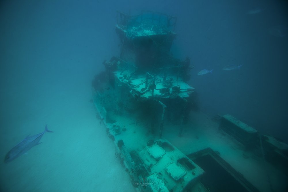 马尔代夫泰姬维安塔酒店 Vivanta by Taj Coral Reef Mal..._54656466-H1-Dive_a_Shipwreck_I.jpg