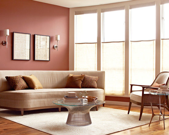 舒适的家_contemporary-living-room (1).jpg