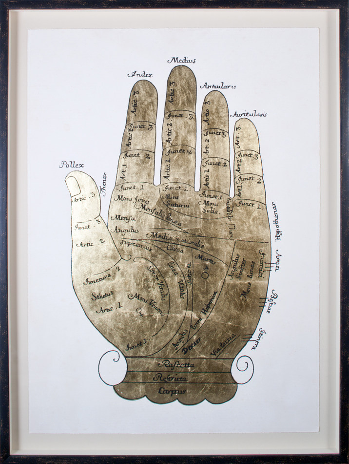 NATURAL CURIOSITIES美国洛杉矶一个画店_Gallicus Hands 1, Goldleaf.jpg