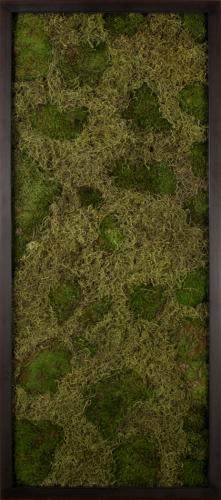 NATURAL CURIOSITIES美国洛杉矶一个画店_Moss and Lichen Landscapes, 1.jpg