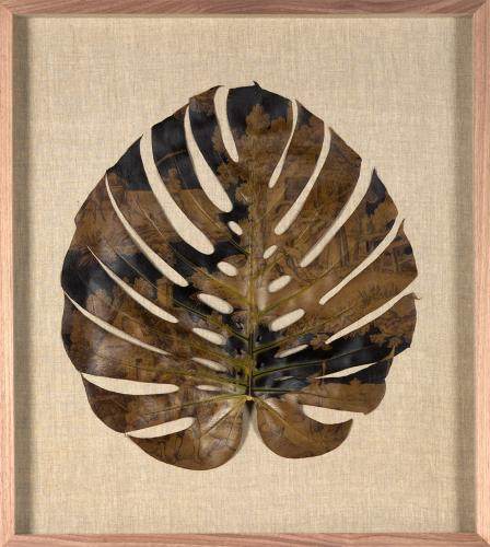 NATURAL CURIOSITIES美国洛杉矶一个画店_Printed Botanicals Etoille Charcoal Elephant Ear.jpg