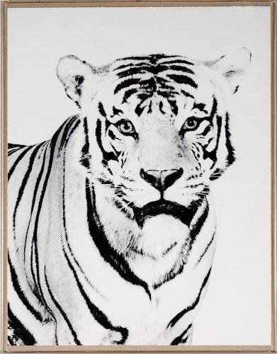 NATURAL CURIOSITIES美国洛杉矶一个画店_Tylinek Tiger.jpg