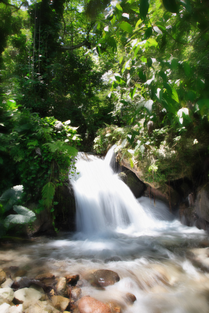 卡萨博尼塔热带旅馆 Casa Bonita Tropical Lodge_31518543-H1-DPP_0021.jpg