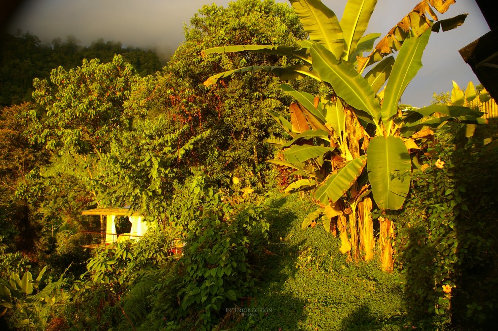 哥斯达黎加牧场太平洋酒店 Rancho Pacifico_28009380-H1-JUNGLE SPA TREATMENT AREA.JPG