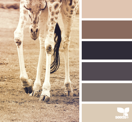 物语_Giraffe Tones.png