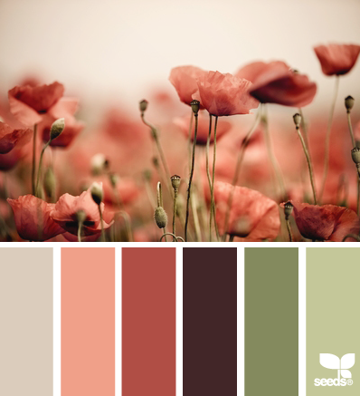 物语_Poppy Tones.png