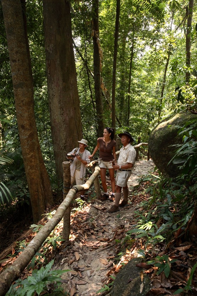 马来西亚邦咯岛绿中海度假村 Pangkor Laut Resort_27998283-H1-Jungle Trekking 02 resized.jpg