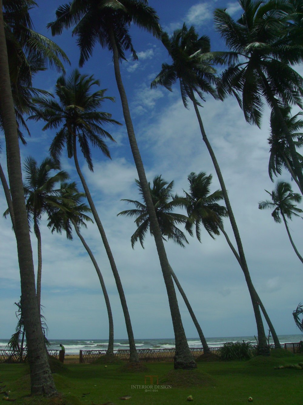 斯里兰卡科伦坡Serene Pavilions_27925501-H1-004 PALM TREES AT TWLIGTH.JPG