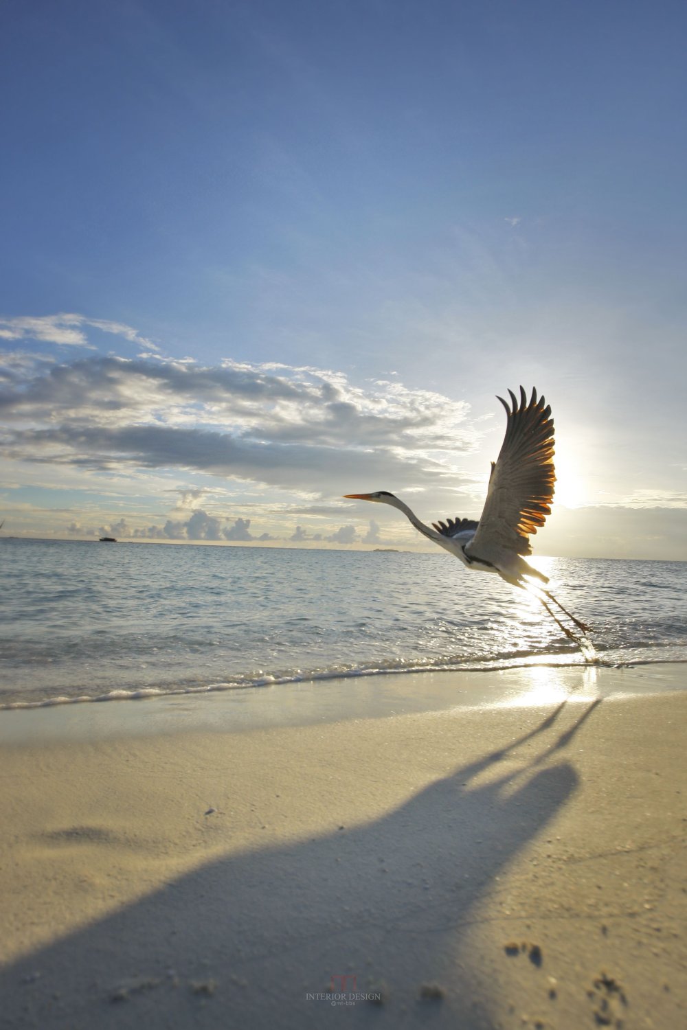 马尔代夫维拉沙鲁岛度假村 Velassaru Maldives_27967732-H1-BeachandIsland.jpg