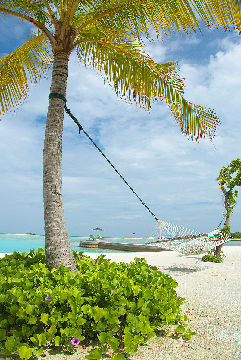 马尔代夫娜拉杜度假酒店 Naladhu Resort Maldives_26090595-H1-NaladhuBeachView06.jpg