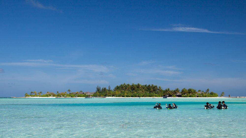 马尔代夫娜拉杜度假酒店 Naladhu Resort Maldives_38177015-H1-Naladhu_0027.jpg