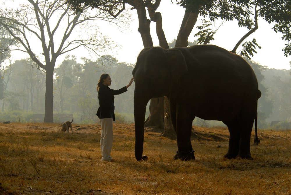 印度迈索尔橘子郡卡碧尼度假村 Orange County, Kabini_34977481-H1-Elephant_Interaction.jpg