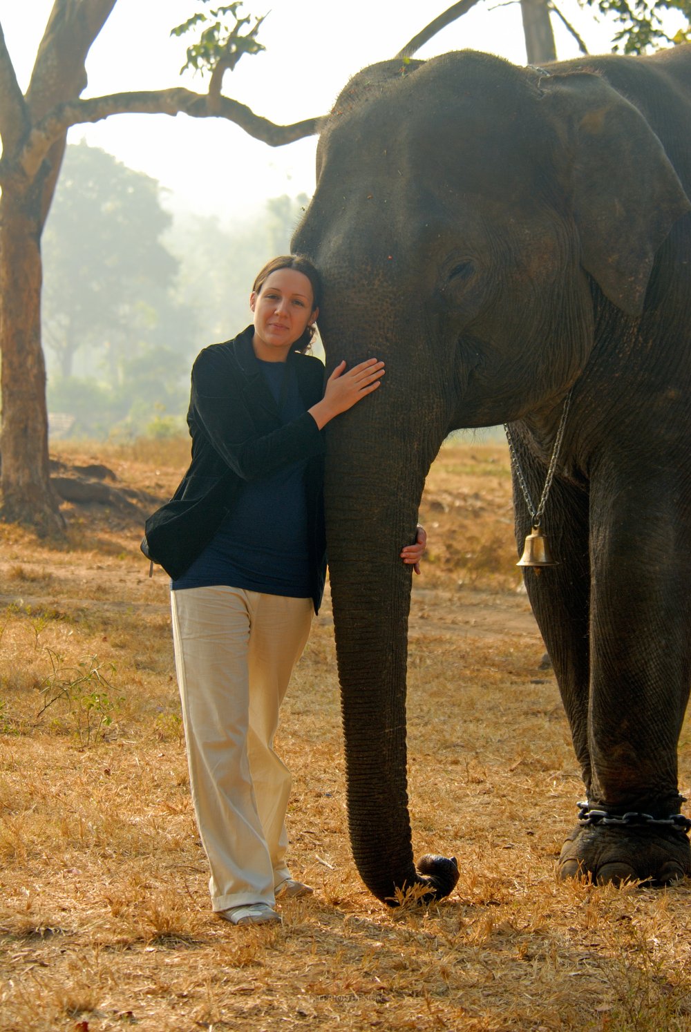 印度迈索尔橘子郡卡碧尼度假村 Orange County, Kabini_34977490-H1-Elephant_Interaction_A_different_journey.jpg