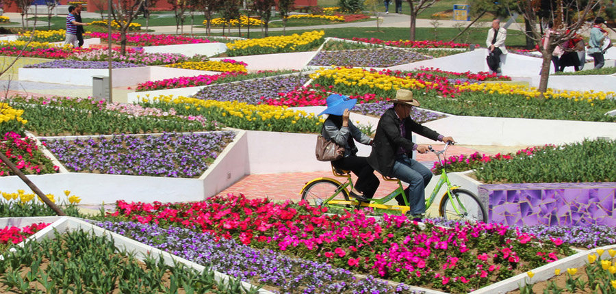 Ceramic Museum and Mosaic Park . （2013锦州世界园艺博览会公园）__c_ui6vupt4K7wy7P8DcmeSAap7ovlS0ZliubmrCO4tjwqPD9fMDZKcAovOWGSRYQkyaLROodK-zlv4D.jpg