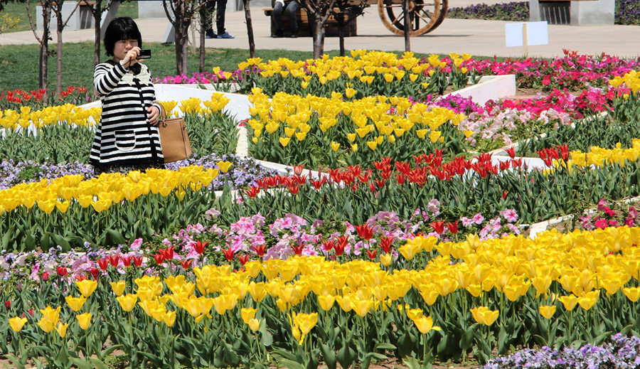 Ceramic Museum and Mosaic Park . （2013锦州世界园艺博览会公园）__c_1KpUXcsXNl-nop2HTwLmDRl1oPkfuweNQpvWxbP4EMs4TxL8ynhjRXJI1e8eQq0fRL4HwMcPjMa54.jpg